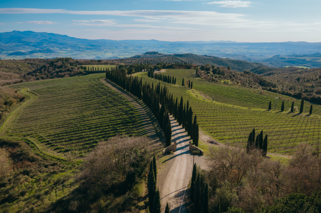 Poggio Antico Chardonnay