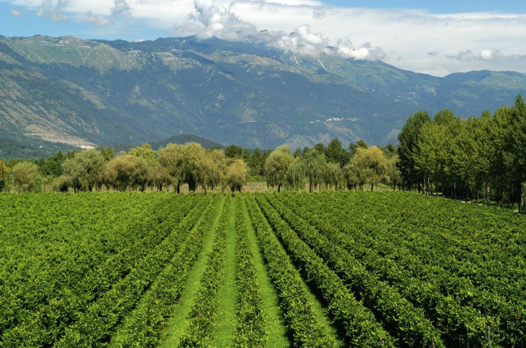 Vistorta al Merano WineFestival 2026