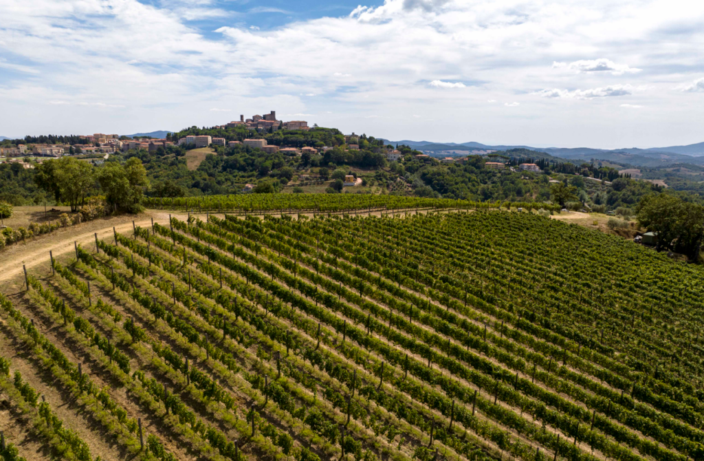 qualità vini della maremma
